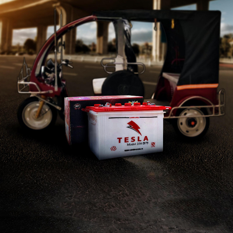Tesla-Battery-easy-bike-battery-2026