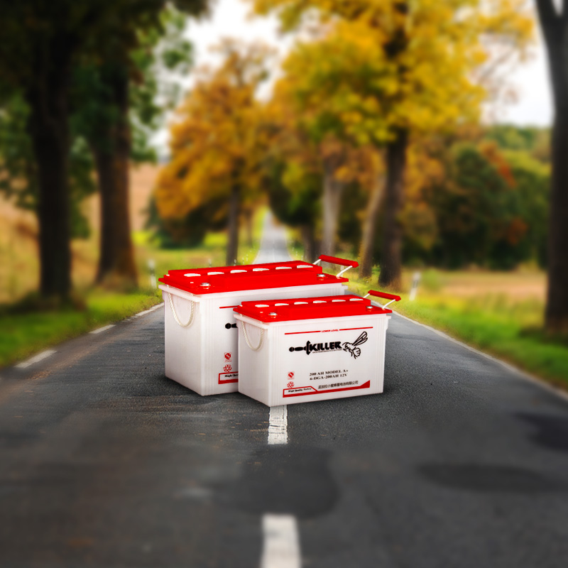 killer-bee-easy-bike-Battery