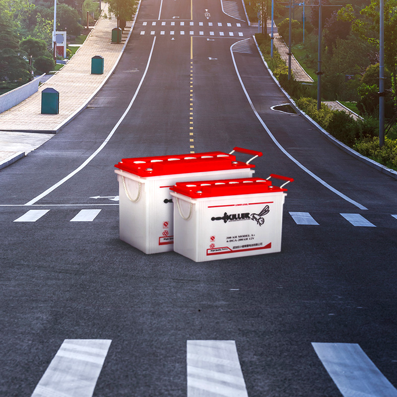 killer-bee-easy-bike-Battery-wer